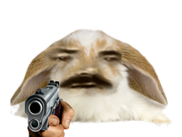 :Lapin_Gun: