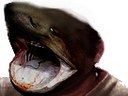 :requin_tete: