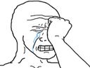 :wojak_pleure: