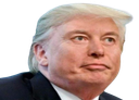 :Elon_Trump: