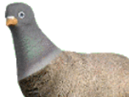 :mougeon: