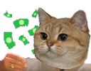 :sodium_billet: