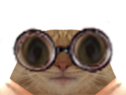 :chat_lunettes: