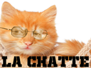 :larry_chatte: