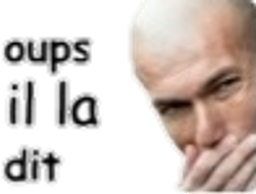 :oups-zidane: