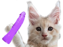 :chat_gode: