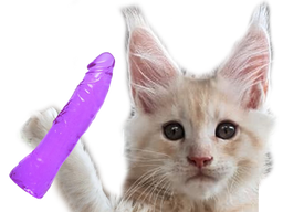 :chat_gode: