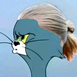 :haaaland: