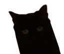 :CatCentQuatre: