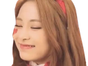 :tzuyuu: