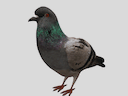 :Biset2: