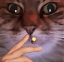 :ChatZoomClope: