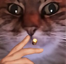 :ChatZoomClope: