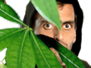 :ramoscache: