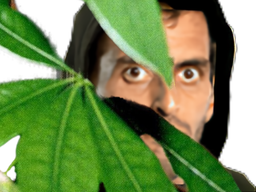 :ramoscache: