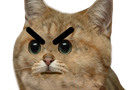 :ColereMax_chat: