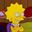 Photo de profil de squelette
