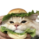 :Sandwichat: