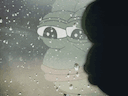 :pepe_fenetre: