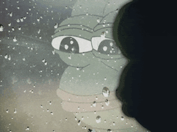 :pepe_fenetre: