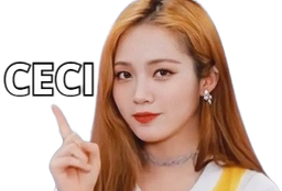 :fu_ceci: