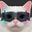 Photo de profil de ChatMalin