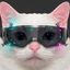 Photo de profil de ChatMalin