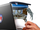:Poisson_police: