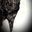 Photo de profil de Chatte_et_racle