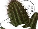 :calin_cactus: