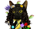:kekekat: