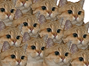:sodium_gang: