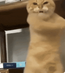 :Chat_non_contour:
