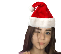 :zerbranoyel: