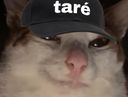 :Chat_suspect_tare: