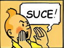 :tintinsuce: