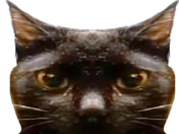 :black: