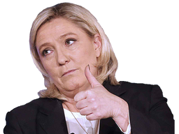 :marine_pouce: