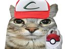 :CS_Pokemon: