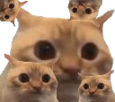 :chat_limite_x5: