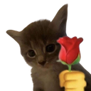 :fleurchat: