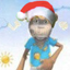 Photo de profil de SingeDeGulli