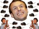 :rat_macron: