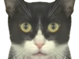 :chat_choque6: