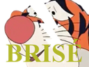 :brise_grr: