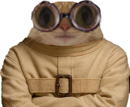 :Chat_camisole_dubosc_tare: