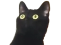 :chat_choque: