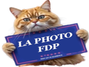 :photocha: