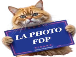 :photocha: