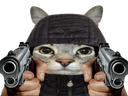 :CS_Flingues: